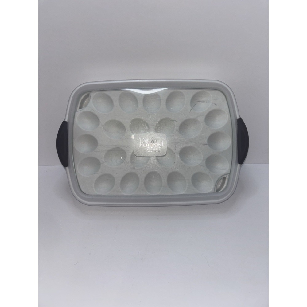 PAMPERED CHEF Chillzanne Egg Veggie Rectangle Server Tray #2781 Holiday Party